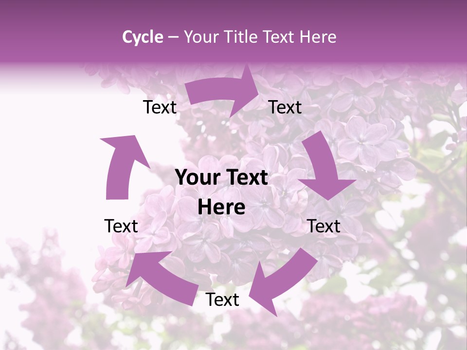 Branch Isolated Petal PowerPoint Template