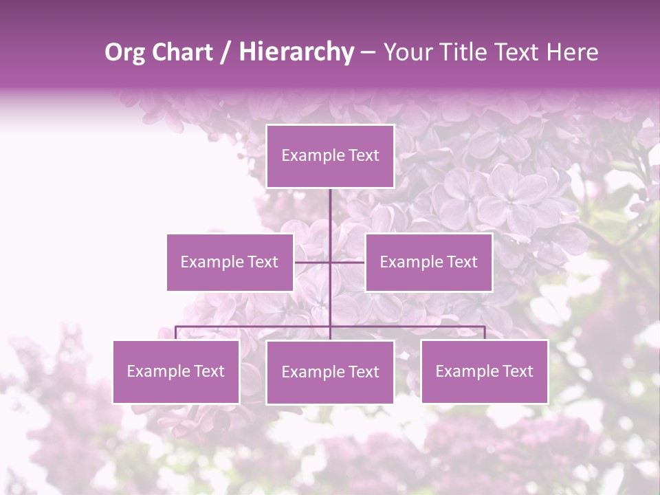 Branch Isolated Petal PowerPoint Template