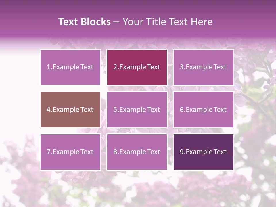 Branch Isolated Petal PowerPoint Template