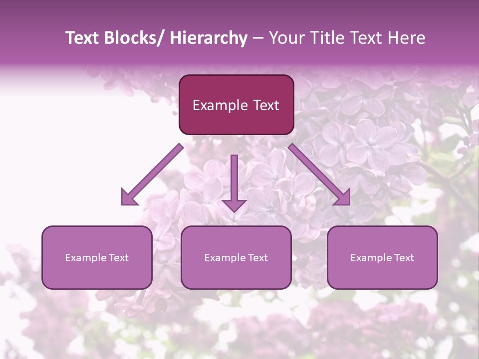 Branch Isolated Petal PowerPoint Template