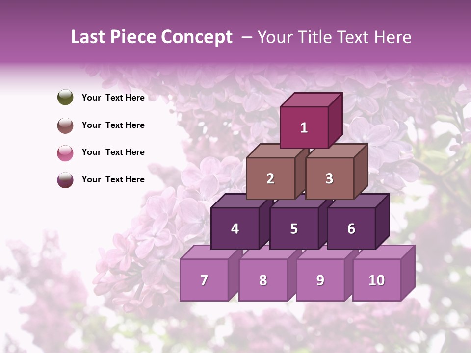 Branch Isolated Petal PowerPoint Template