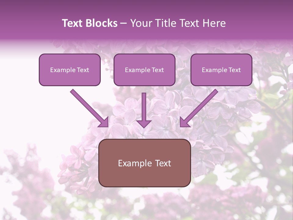 Branch Isolated Petal PowerPoint Template