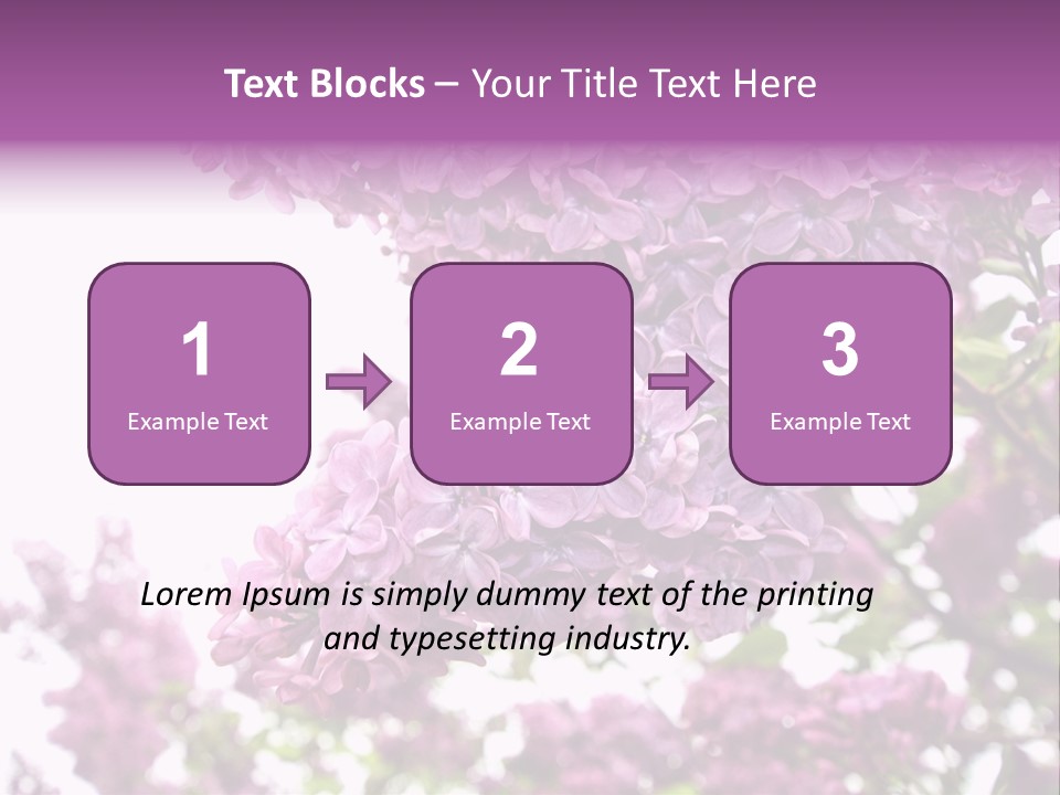 Branch Isolated Petal PowerPoint Template