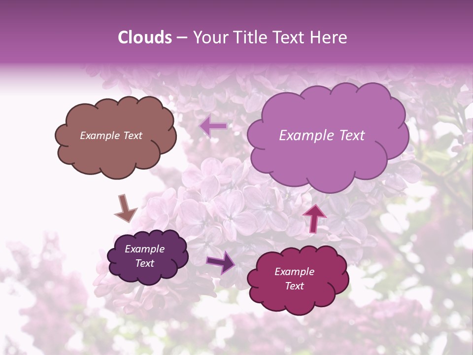 Branch Isolated Petal PowerPoint Template