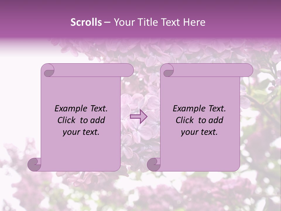 Branch Isolated Petal PowerPoint Template