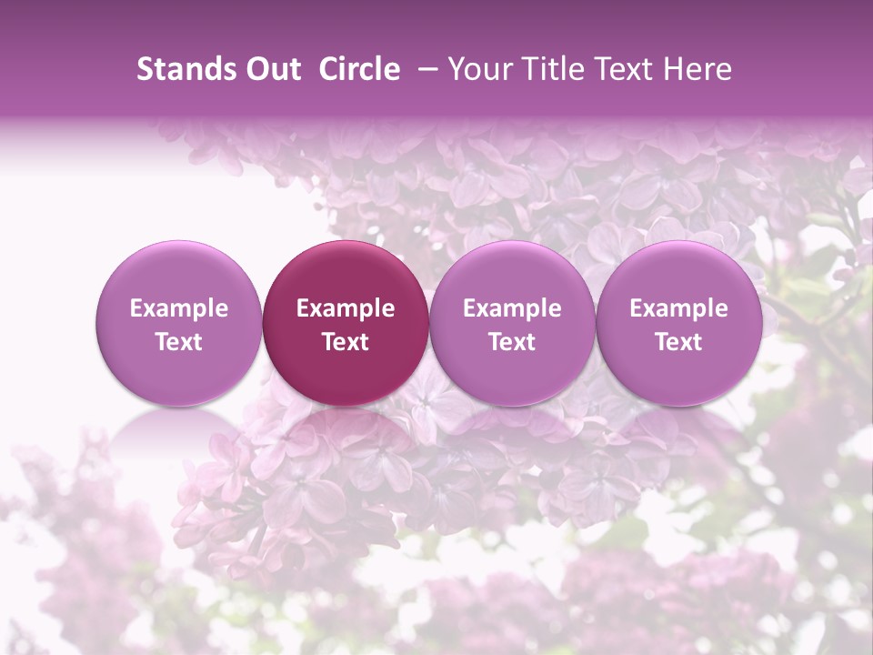 Branch Isolated Petal PowerPoint Template