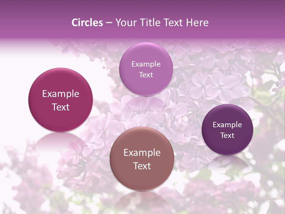 Branch Isolated Petal PowerPoint Template