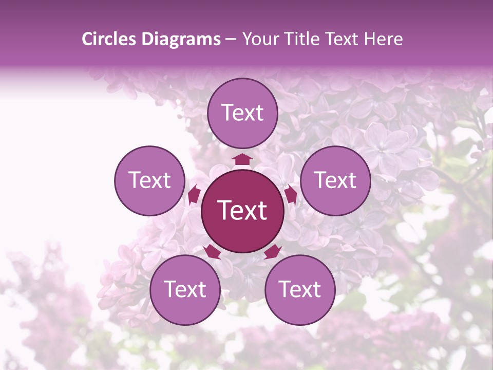 Branch Isolated Petal PowerPoint Template