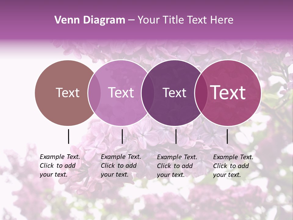 Branch Isolated Petal PowerPoint Template