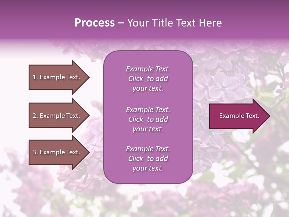 Branch Isolated Petal PowerPoint Template
