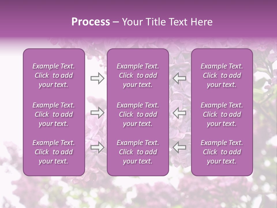 Branch Isolated Petal PowerPoint Template