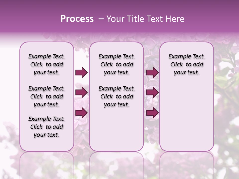 Branch Isolated Petal PowerPoint Template