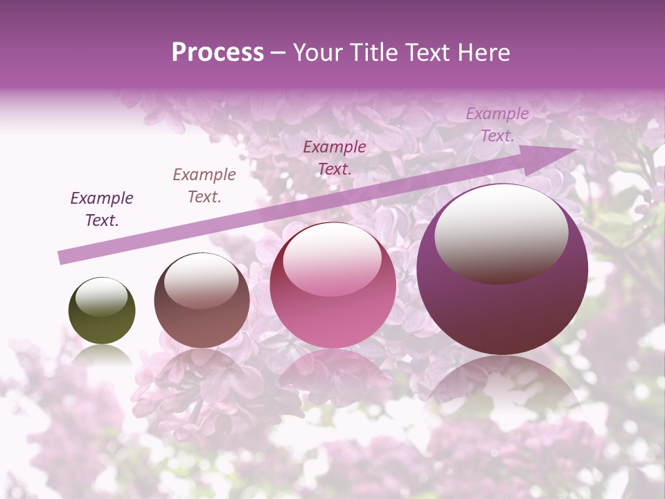Branch Isolated Petal PowerPoint Template