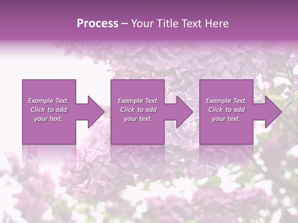 Branch Isolated Petal PowerPoint Template