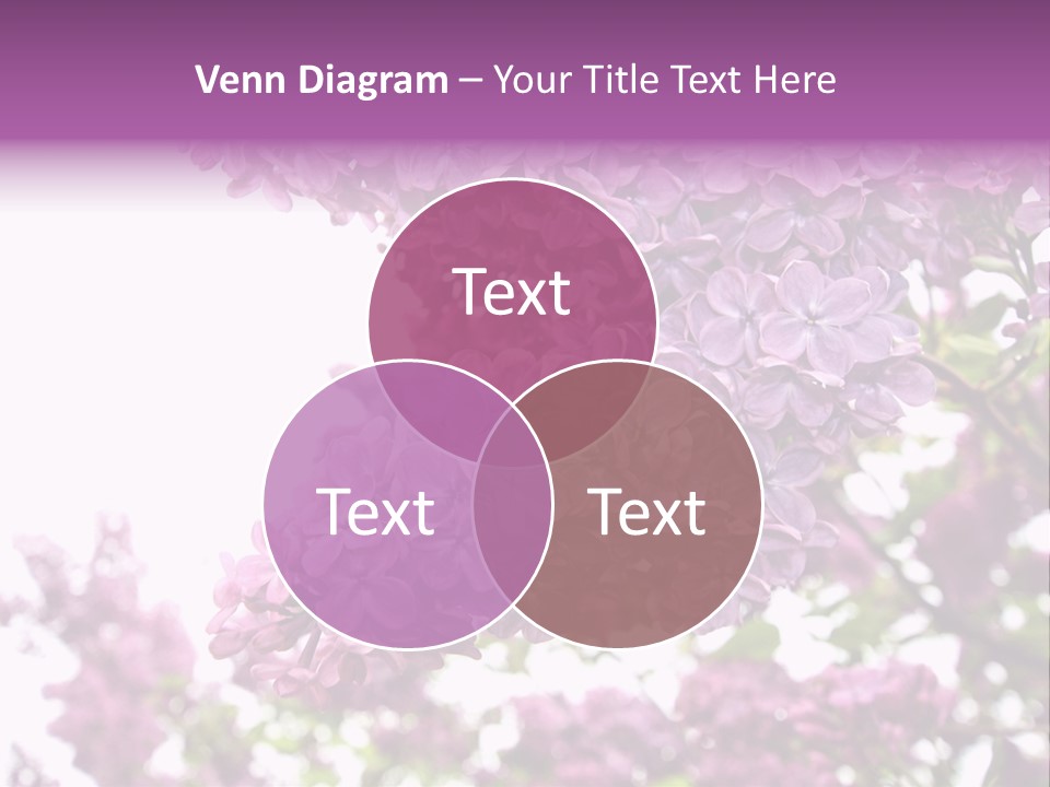 Branch Isolated Petal PowerPoint Template