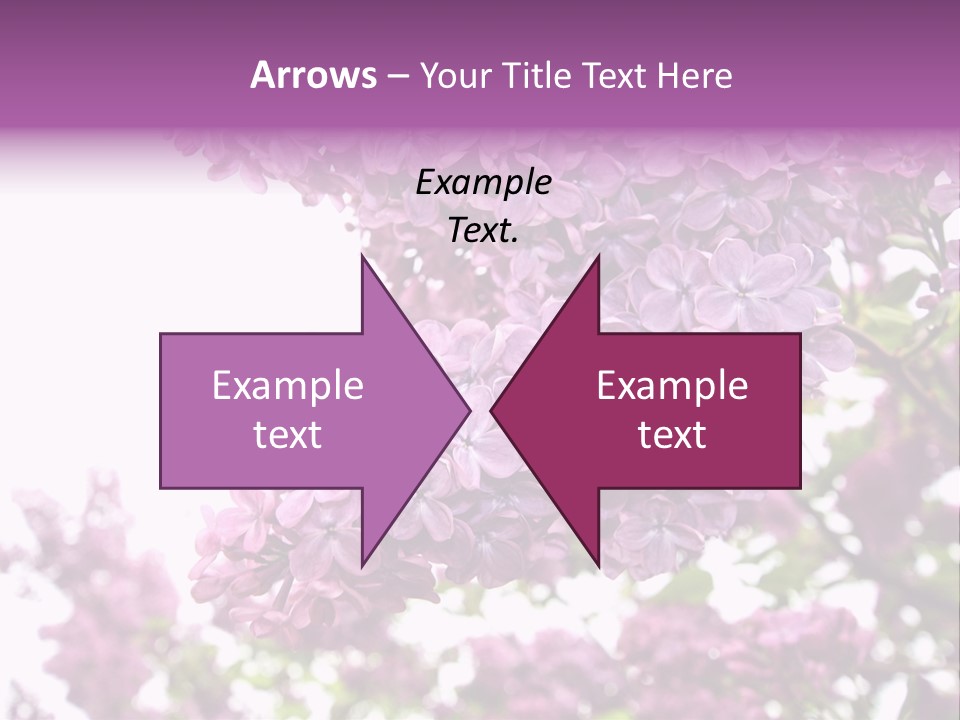 Branch Isolated Petal PowerPoint Template