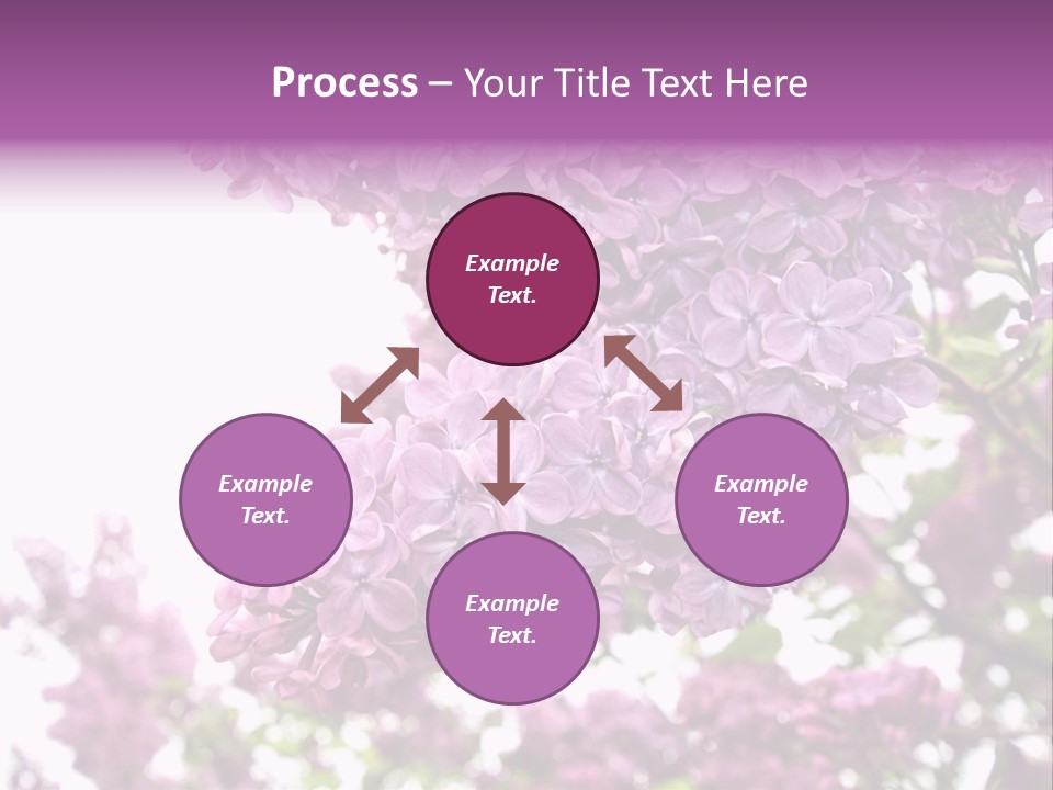 Branch Isolated Petal PowerPoint Template
