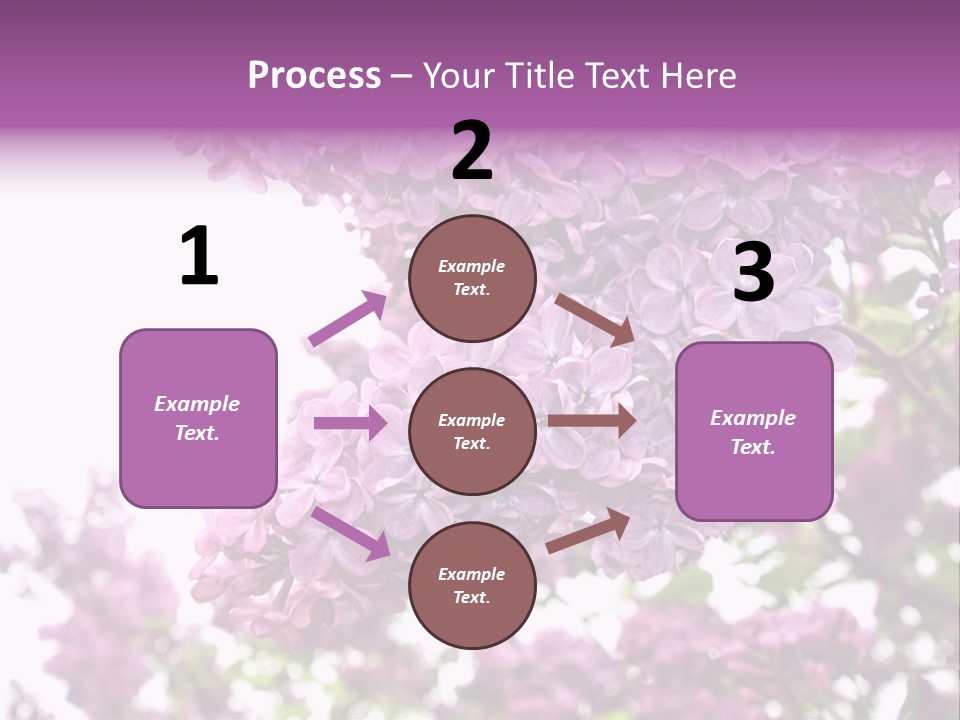 Branch Isolated Petal PowerPoint Template