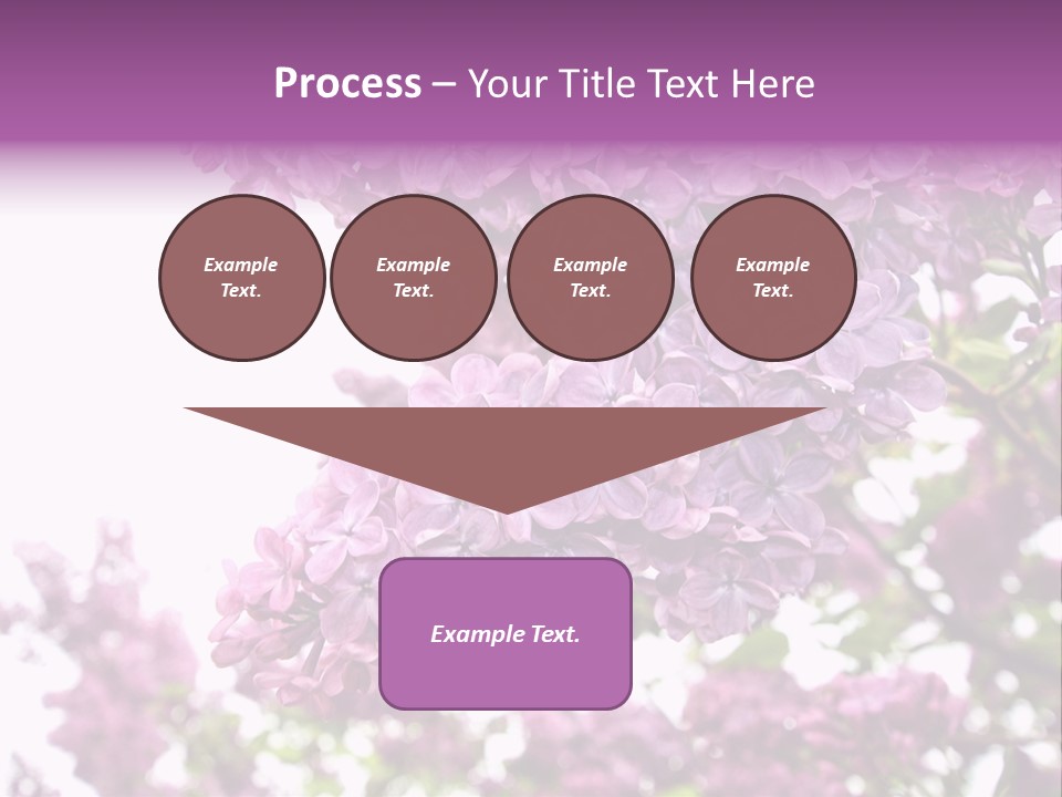 Branch Isolated Petal PowerPoint Template