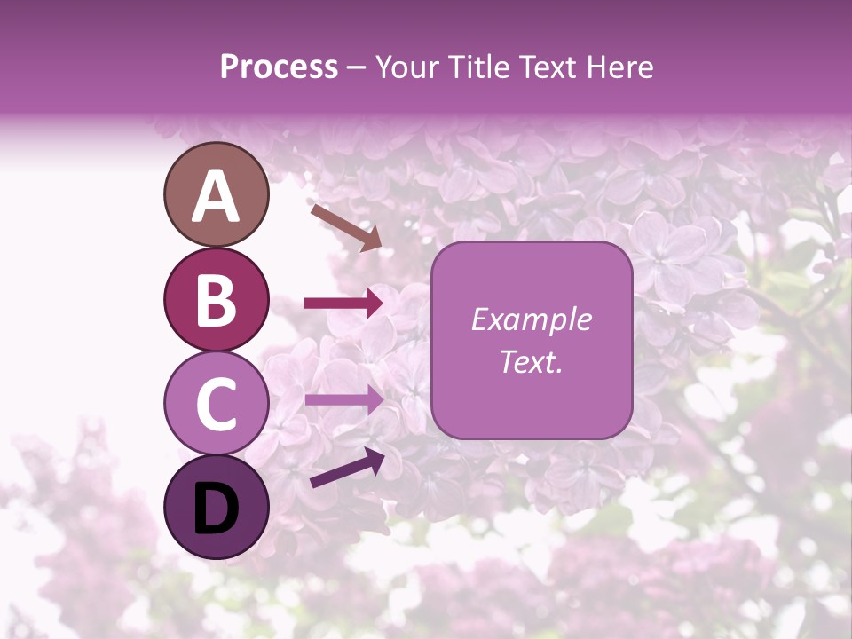 Branch Isolated Petal PowerPoint Template