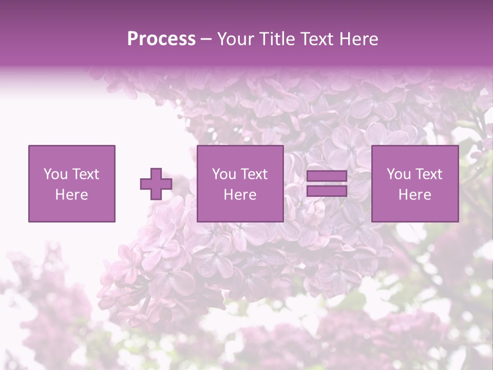 Branch Isolated Petal PowerPoint Template