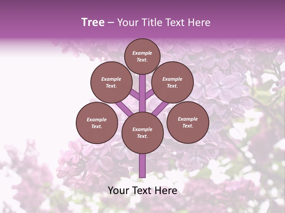 Branch Isolated Petal PowerPoint Template