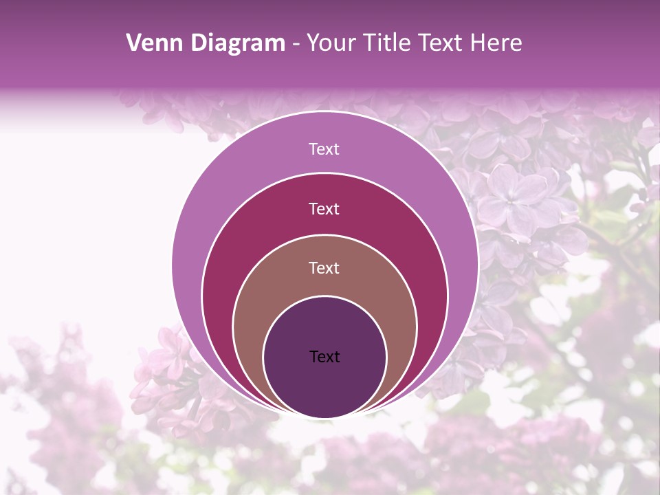 Branch Isolated Petal PowerPoint Template