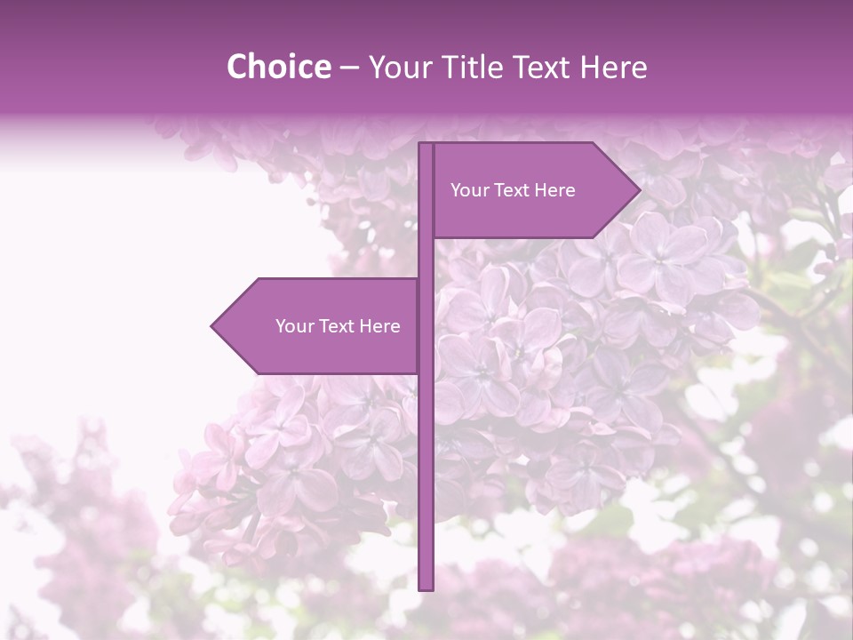 Branch Isolated Petal PowerPoint Template