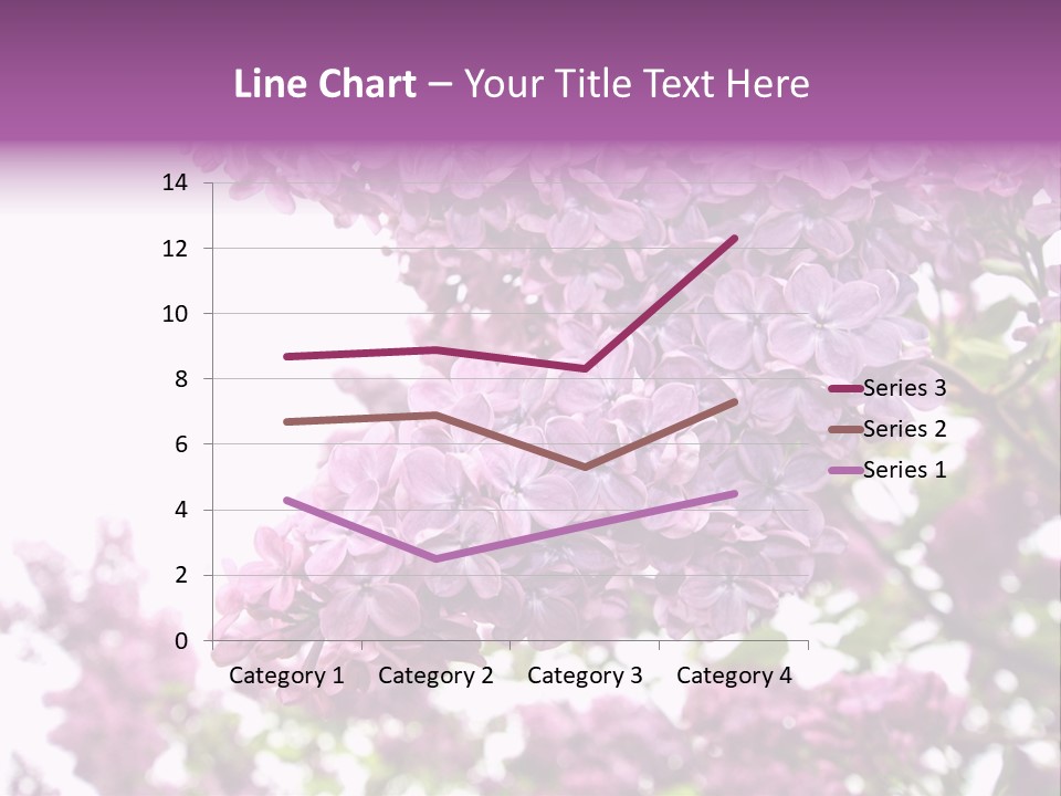 Branch Isolated Petal PowerPoint Template