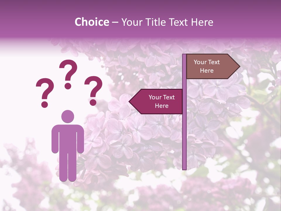 Branch Isolated Petal PowerPoint Template