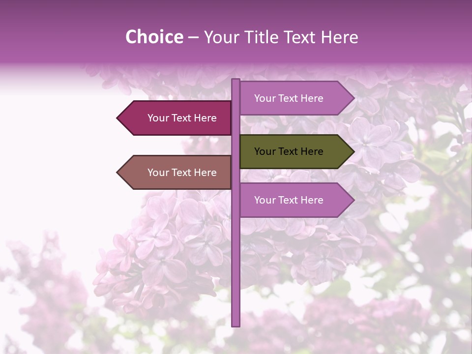 Branch Isolated Petal PowerPoint Template