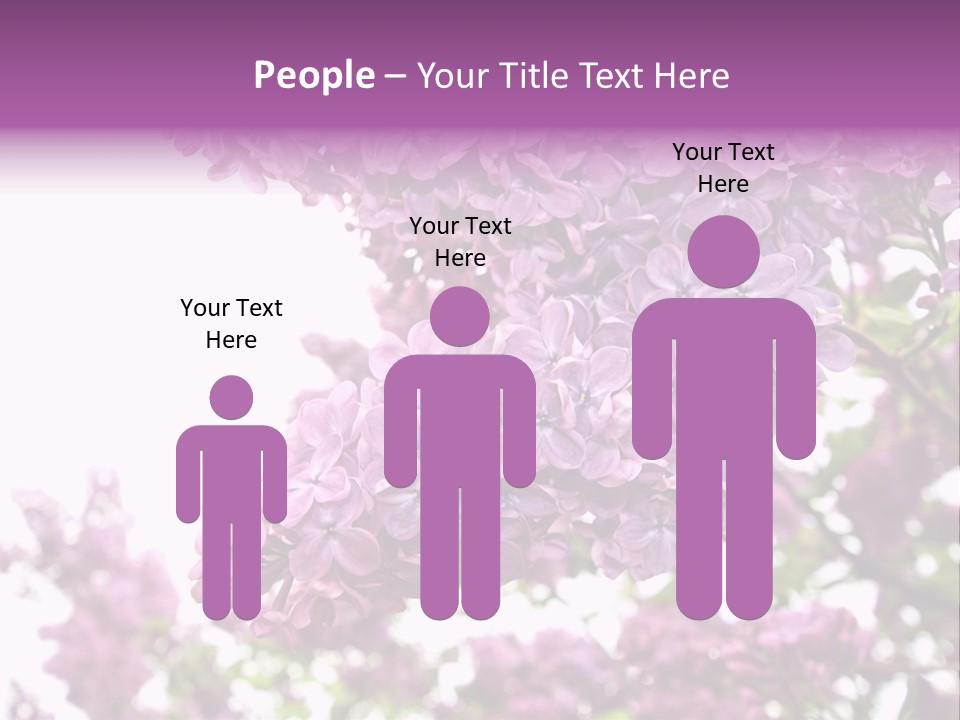 Branch Isolated Petal PowerPoint Template