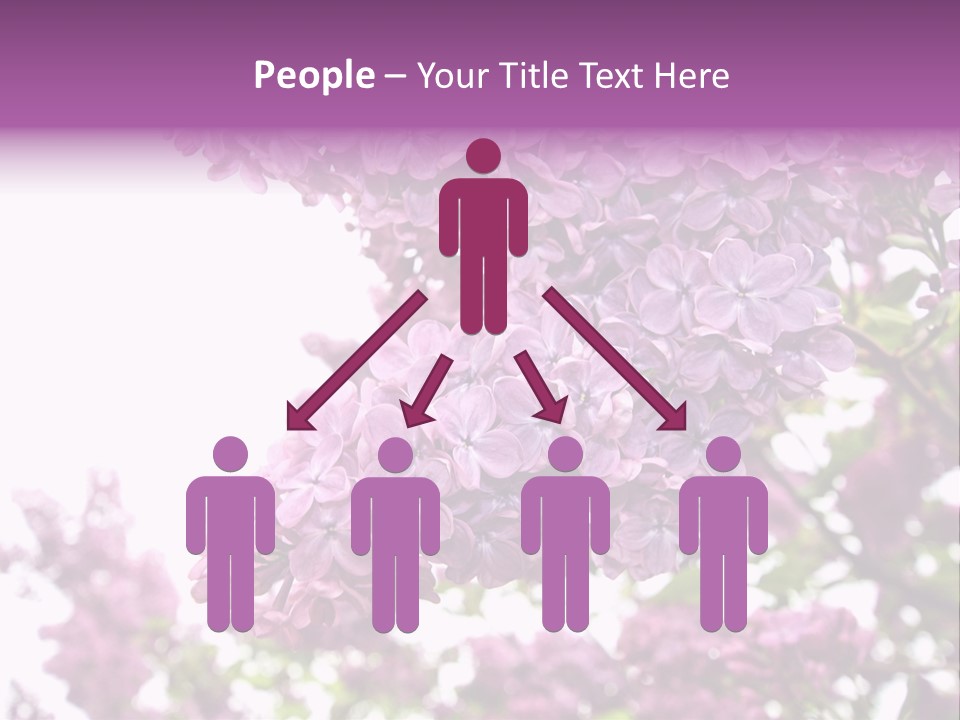 Branch Isolated Petal PowerPoint Template