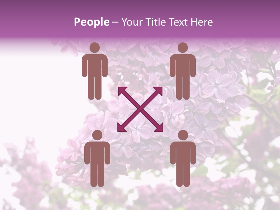 Branch Isolated Petal PowerPoint Template