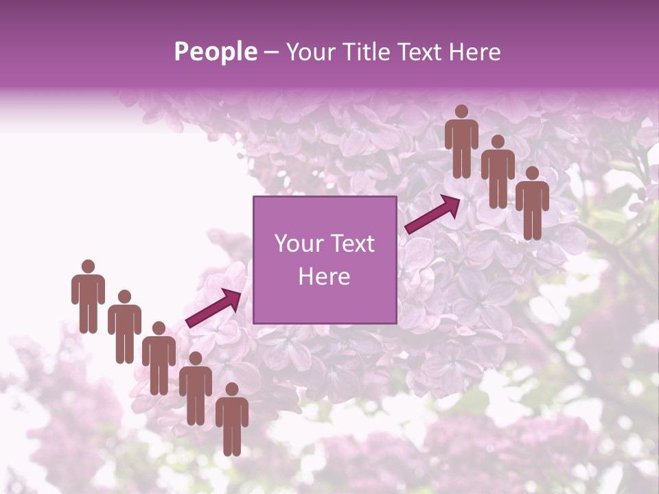 Branch Isolated Petal PowerPoint Template
