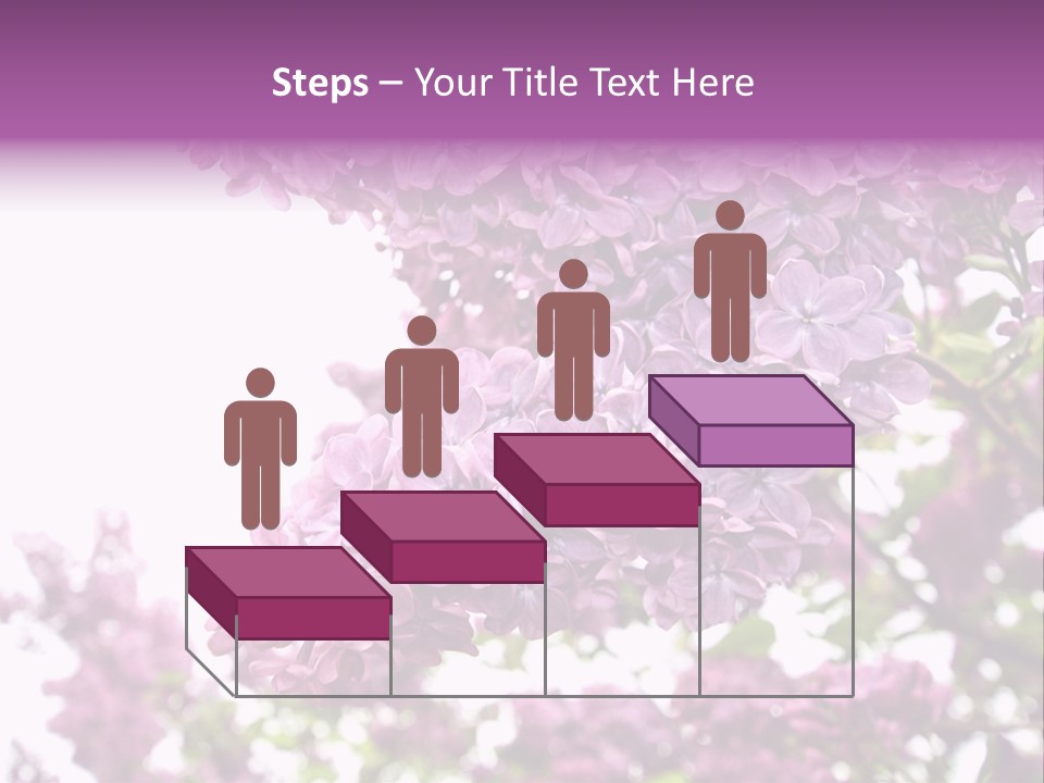 Branch Isolated Petal PowerPoint Template