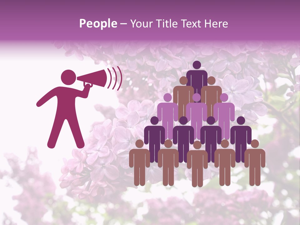 Branch Isolated Petal PowerPoint Template