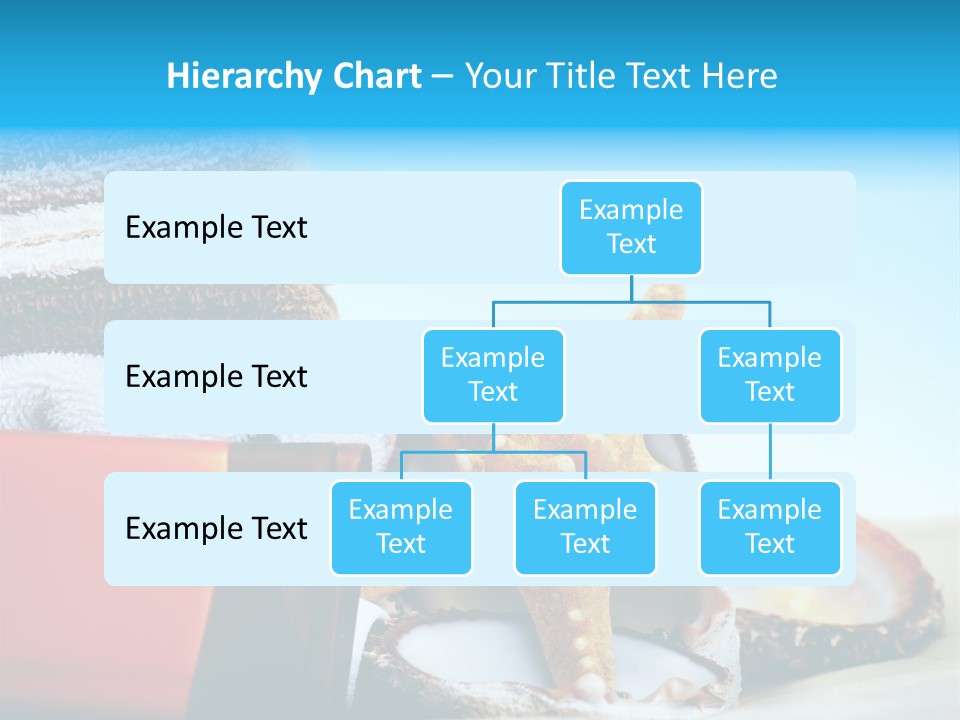 Beauty Blue Star PowerPoint Template
