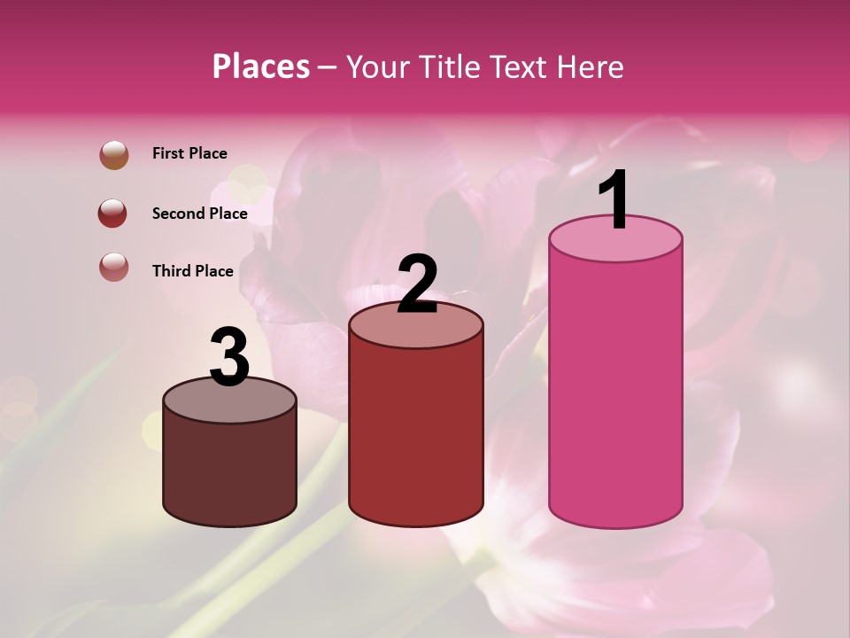 Spring Space Bunch PowerPoint Template