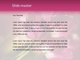 Spring Space Bunch PowerPoint Template