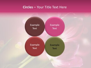 Spring Space Bunch PowerPoint Template