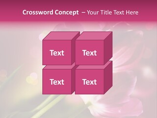 Spring Space Bunch PowerPoint Template