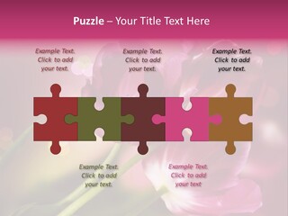 Spring Space Bunch PowerPoint Template