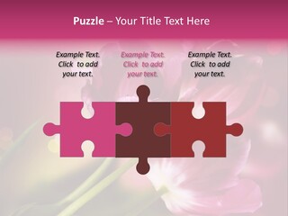 Spring Space Bunch PowerPoint Template