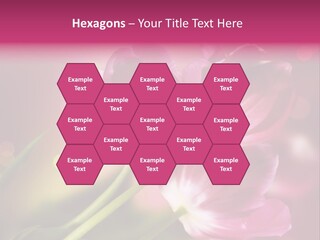 Spring Space Bunch PowerPoint Template