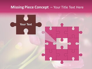 Spring Space Bunch PowerPoint Template