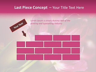 Spring Space Bunch PowerPoint Template