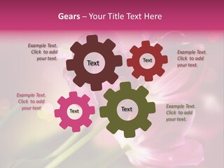 Spring Space Bunch PowerPoint Template