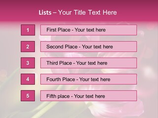 Spring Space Bunch PowerPoint Template