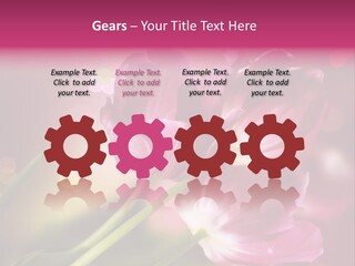 Spring Space Bunch PowerPoint Template